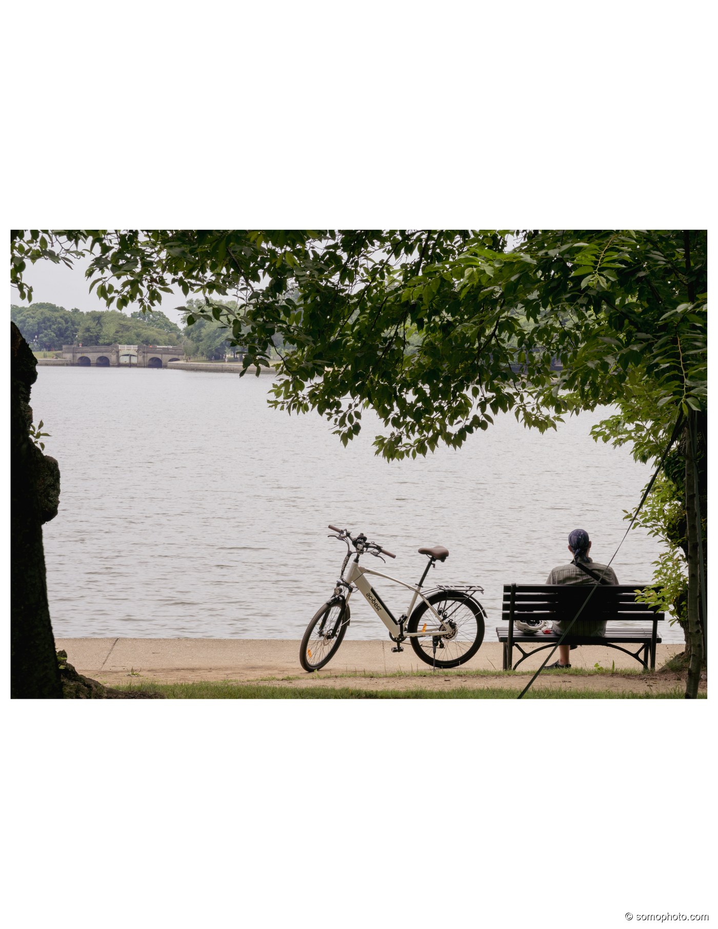 Lakeside Bench Ebike