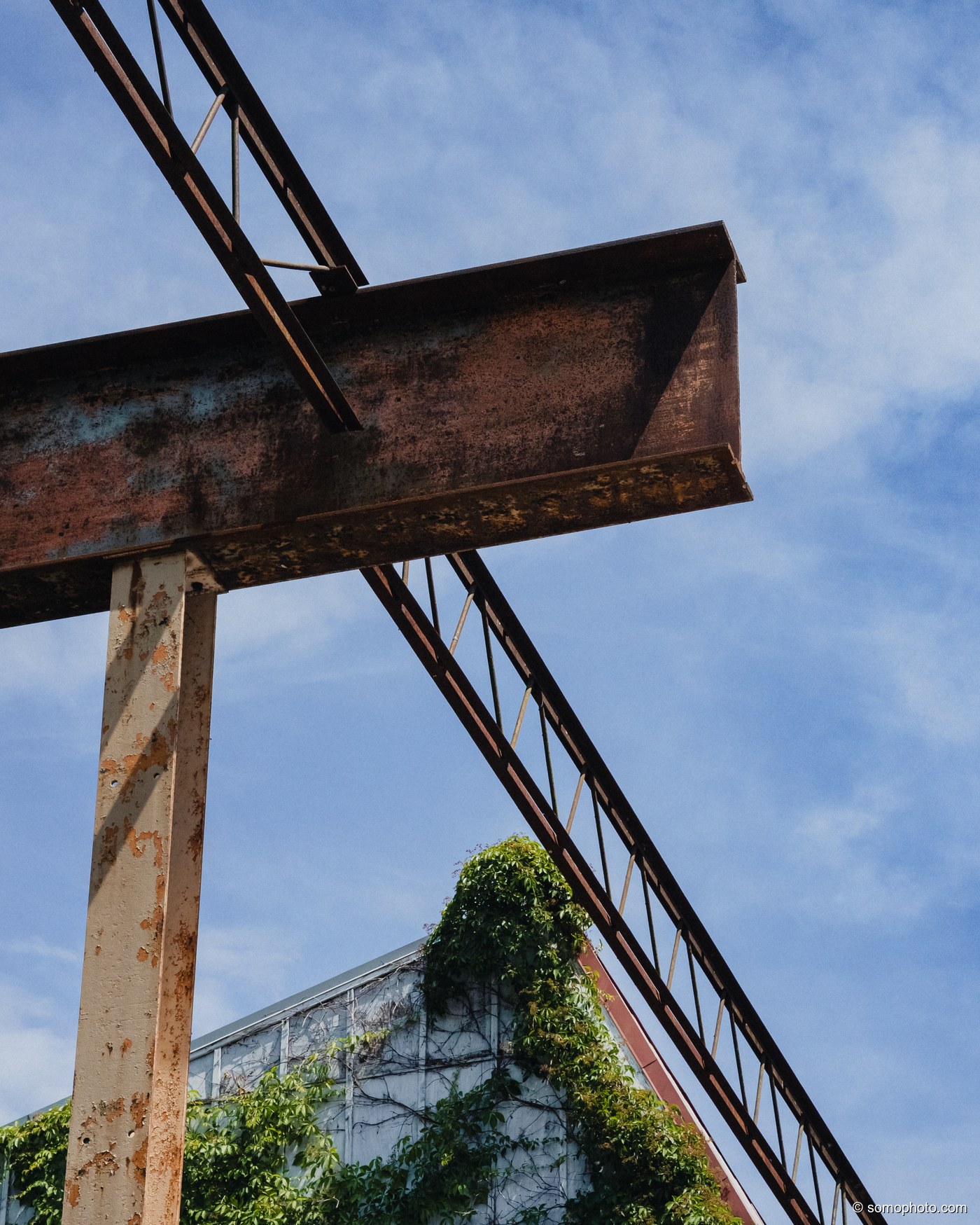 Ivy Steel Corner